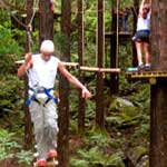 jeux en foret 07