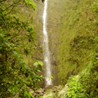 Cascade Biberon