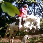 rando cheval 02