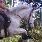 randonnee a cheval