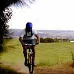 vtt