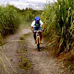 vtt champ de cannes