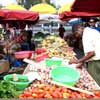 oignons et tomates