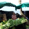 vendeur de salades